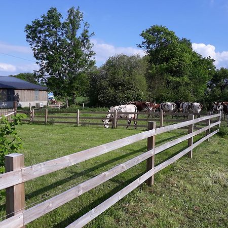 Вілла Roulotte A La Ferme Buissonniere La Lande-de-Louge Екстер'єр фото